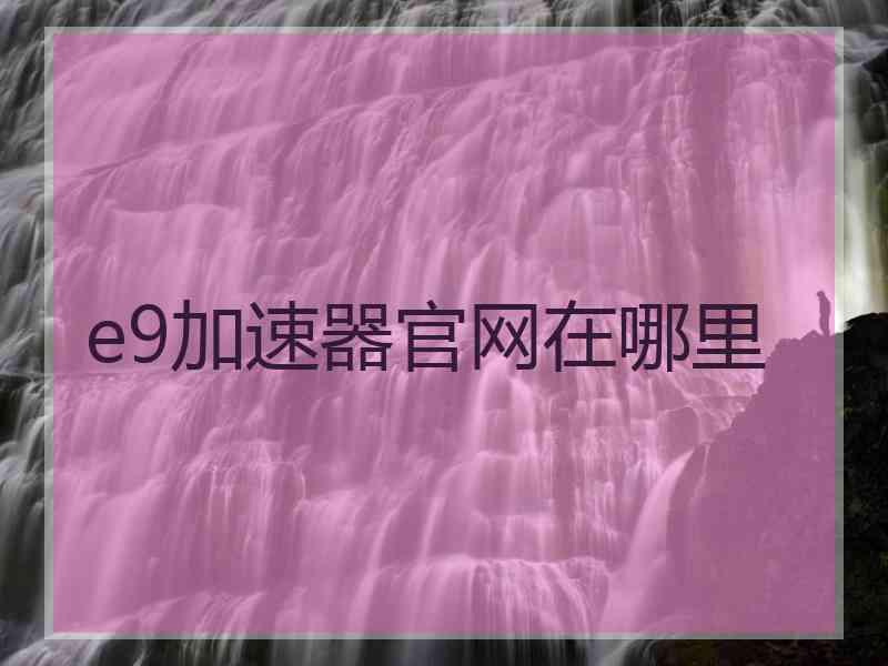 e9加速器官网在哪里